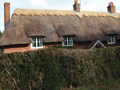 master-thatcher-winchester-thatched-cottage