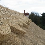 Ridge Styles on Thatched Roof hampshire